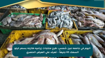 اليوم في جامعة عين شمس: طرح منتجات زراعية طازجة بسعر كيلو السمك 65 جنيهاً – تعرف على العرض الحصري